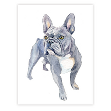 Load image into Gallery viewer, Dog Portraits