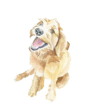 Load image into Gallery viewer, Dog Portraits