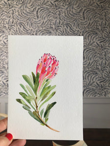Protea Watercolor (Original)