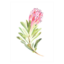 Load image into Gallery viewer, Protea Folded Cards (Set of 3)